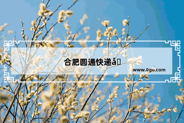 合肥圆通快递加盟电话