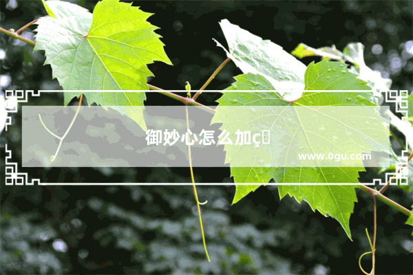 御妙心怎么加盟