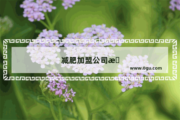 减肥加盟公司怎么考察