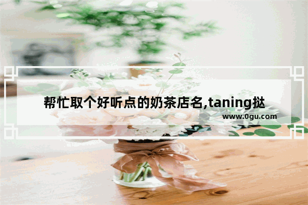 帮忙取个好听点的奶茶店名,taning挞柠奶茶加盟