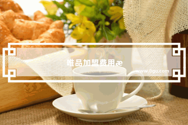 唯品加盟费用标准