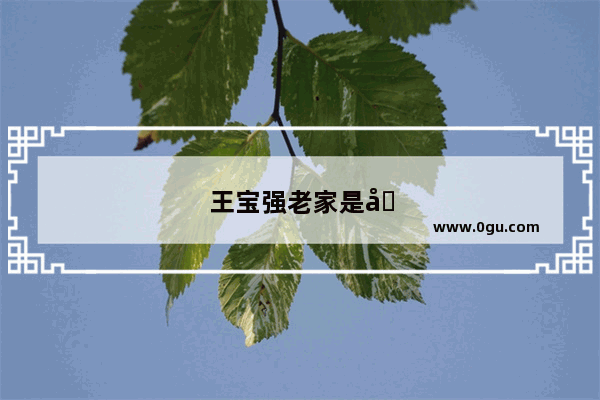 王宝强老家是哪里的？他父亲叫什么