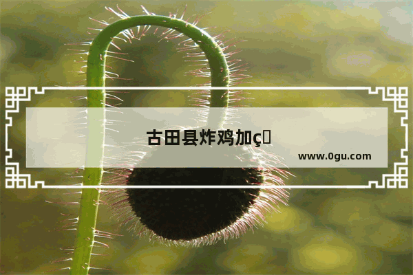 古田县炸鸡加盟店排行前十