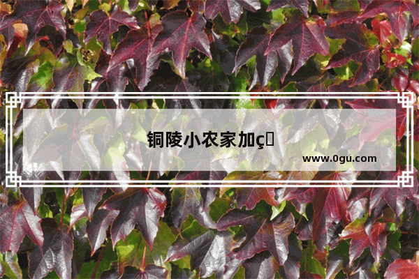 铜陵小农家加盟电话