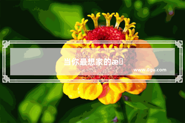 当你最想家的时候你想吃什么