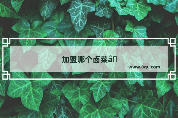 加盟哪个卤菜品牌好加盟的