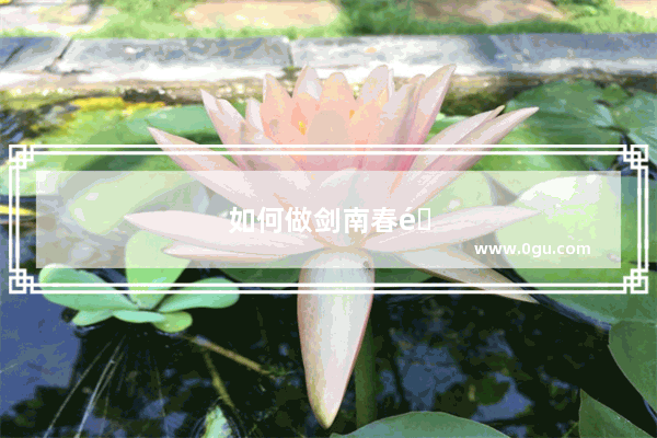 如何做剑南春酒代理