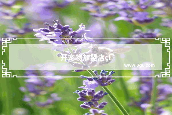 开宠物加盟店的利润到底好吗