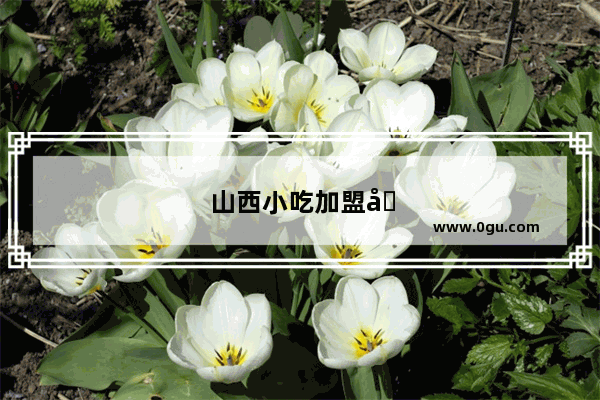 山西小吃加盟品牌排名前十名