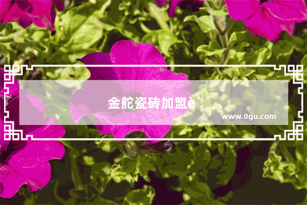 金舵瓷砖加盟费