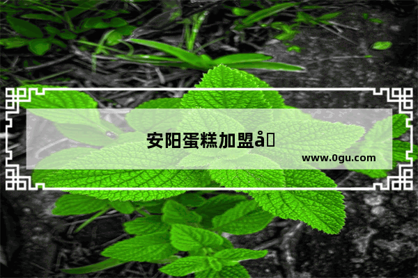 安阳蛋糕加盟品牌有哪些