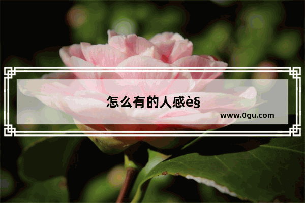 怎么有的人感觉社会越发展 人心越浮躁 脾气越暴躁