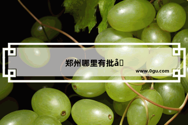 郑州哪里有批发有炸串半成品的