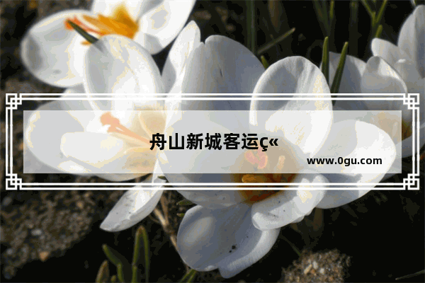 舟山新城客运站附近有什么好玩的