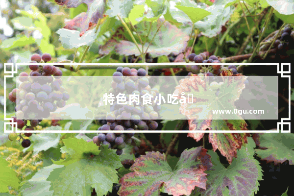 特色肉食小吃加盟店排行榜前十名