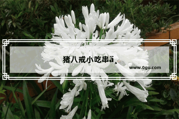 猪八戒小吃串串加盟费多少钱