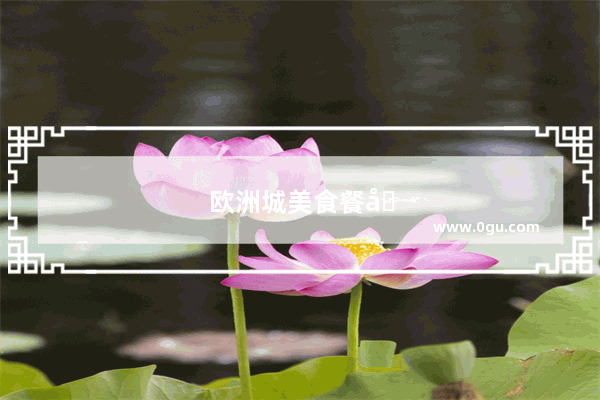 欧洲城美食餐厅怎么样加盟的
