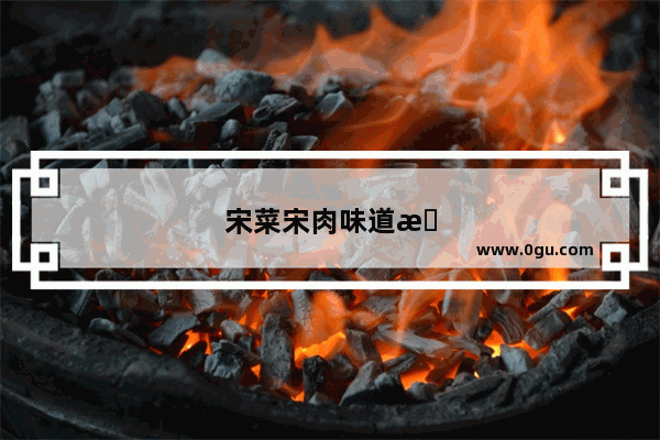 宋菜宋肉味道怎么样