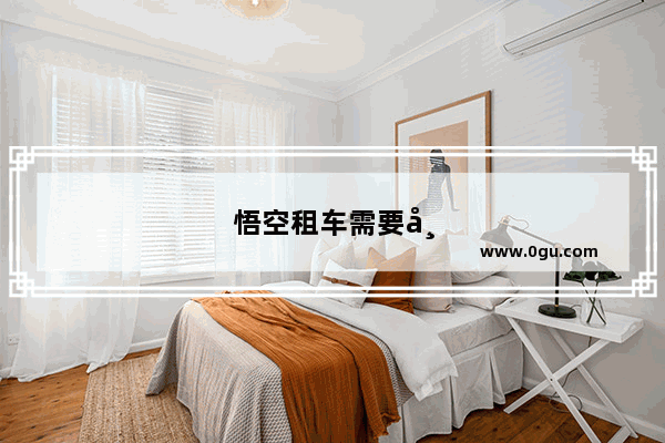 悟空租车需要带车牌嘛
