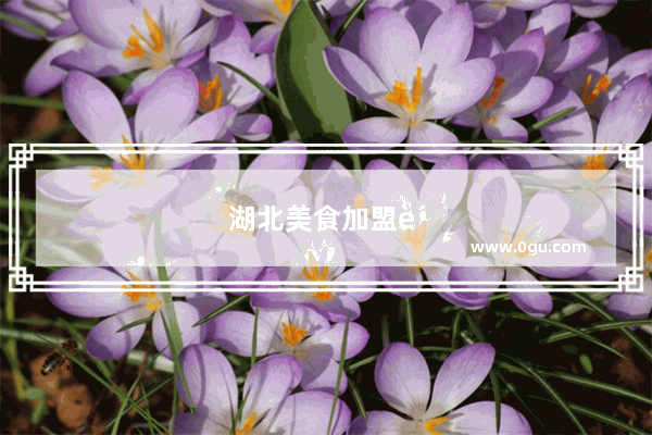 湖北美食加盟费多少