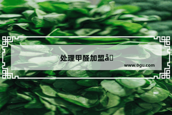 处理甲醛加盟品牌有哪些