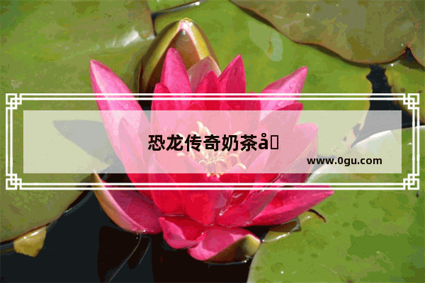 恐龙传奇奶茶加盟条件要求