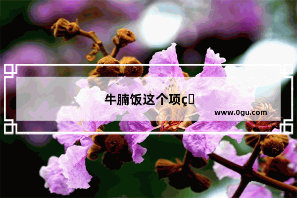 牛腩饭这个项目怎么样
