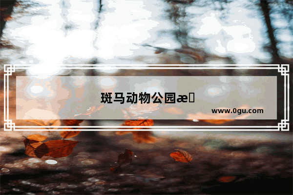 斑马动物公园怎么加盟的