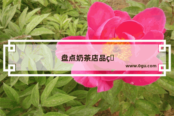 盘点奶茶店品牌怎么样加盟的