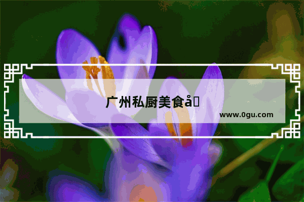 广州私厨美食加盟店