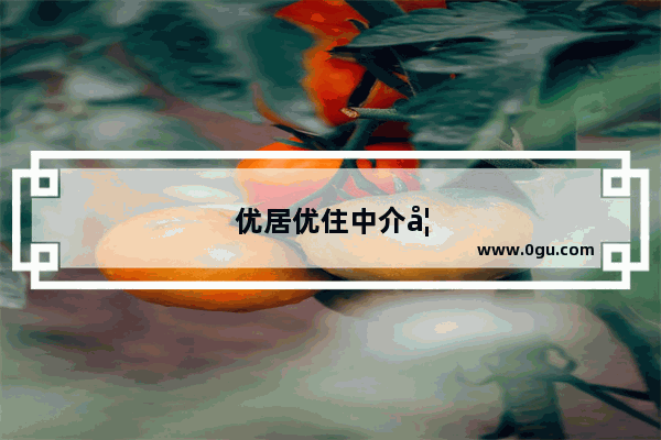 优居优住中介如何