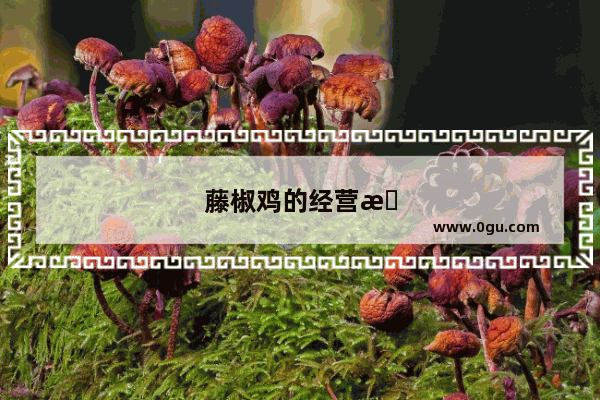藤椒鸡的经营方法