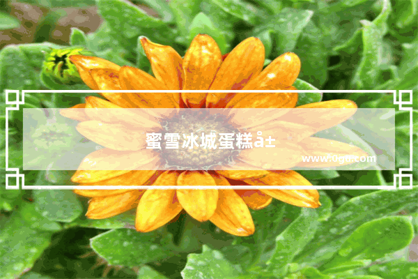 蜜雪冰城蛋糕山东哪有