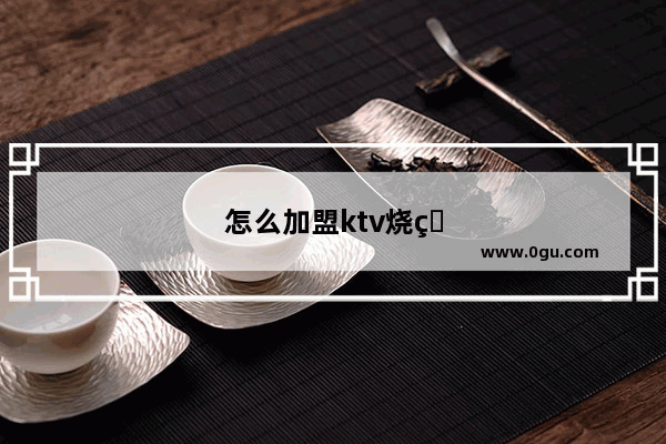 怎么加盟ktv烧烤蹦迪店