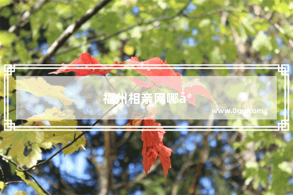 福州相亲网哪家靠谱