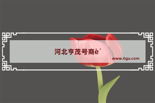河北亨茂号商贸有限公司介绍