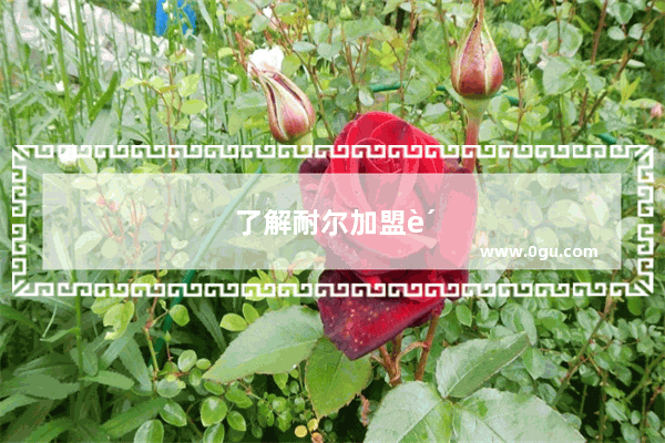 了解耐尔加盟费 开启成功创业之路