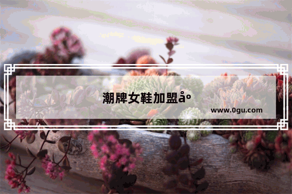 潮牌女鞋加盟店排行榜前十