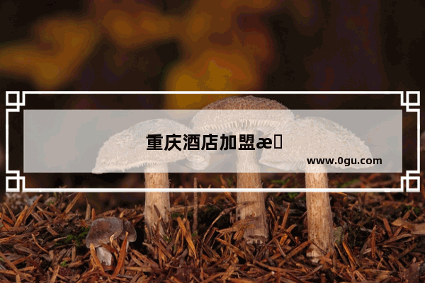 重庆酒店加盟指南