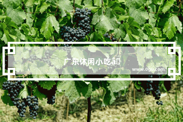 广东休闲小吃加盟有哪些