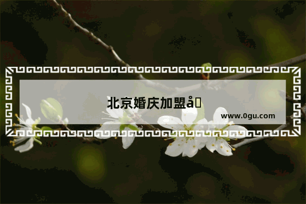 北京婚庆加盟品牌排行