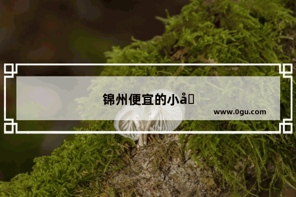 锦州便宜的小吃加盟品牌