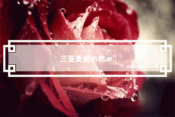 三亚美食小吃探店加盟