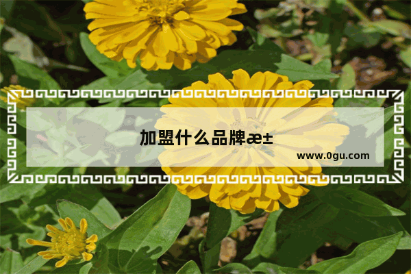 加盟什么品牌汉堡？这 5 个品牌值得考虑！