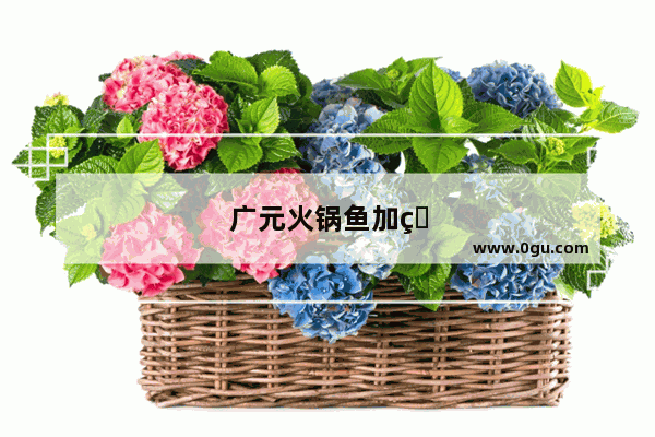 广元火锅鱼加盟店排行榜