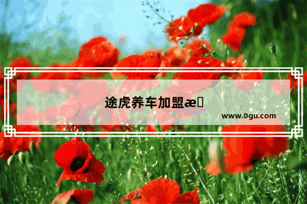 途虎养车加盟怎么盈利？