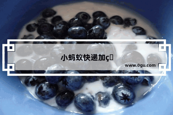 小蚂蚁快递加盟指南