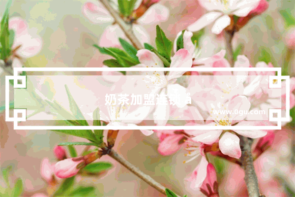 奶茶加盟连锁 开启创业梦想的甜蜜之旅！