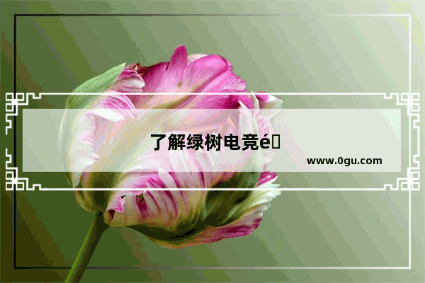 了解绿树电竞酒店加盟费用 开启电竞酒店创业之旅！