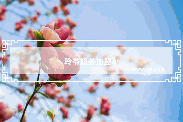 玲爷奶茶加盟店——是致富的好选择吗？